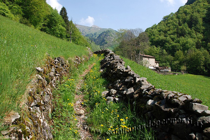 09 03625 Verso Contrada Piazzola.JPG